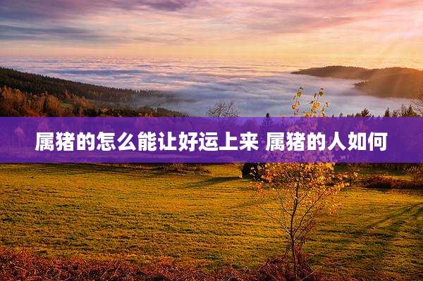 属猪的怎么能让好运上来 属猪的人如何