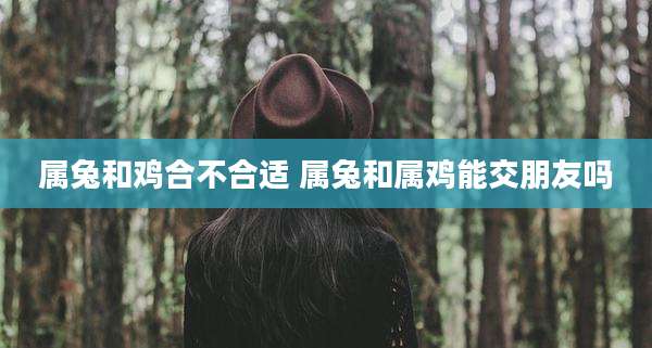 属兔和鸡合不合适 属兔和属鸡能交朋友吗