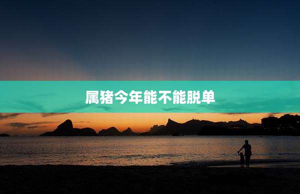 属猪今年能不能脱单