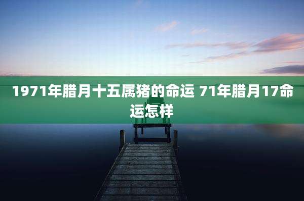 1971年腊月十五属猪的命运 71年腊月17命运怎样