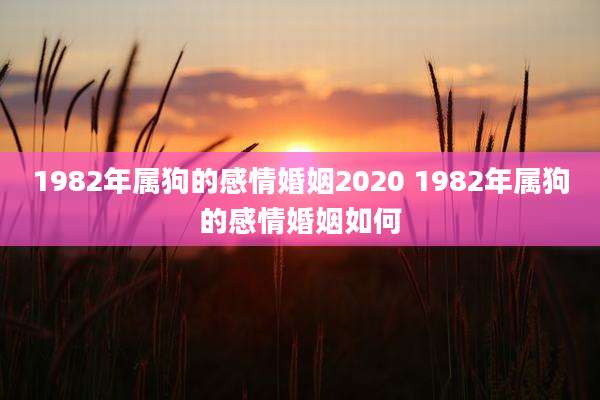 1982年属狗的感情婚姻2020 1982年属狗的感情婚姻如何