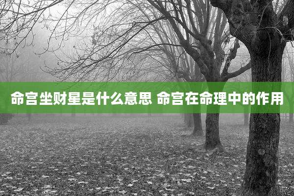 命宫坐财星是什么意思 命宫在命理中的作用