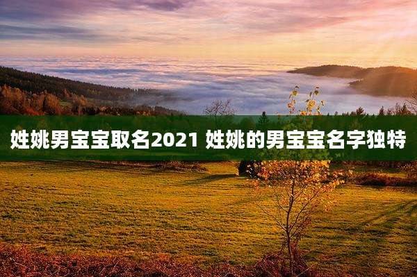姓姚男宝宝取名2021 姓姚的男宝宝名字独特