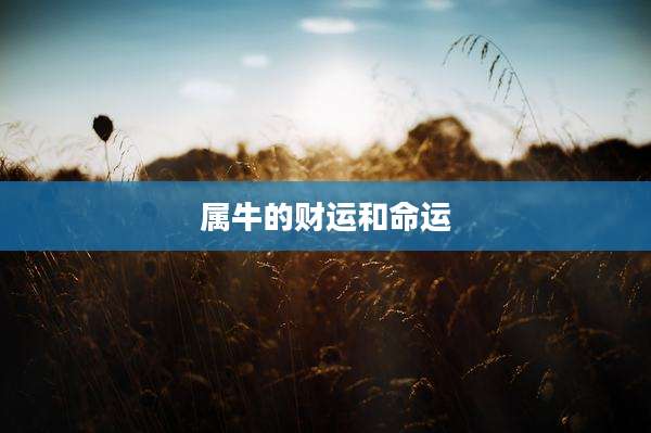 属牛的财运和命运