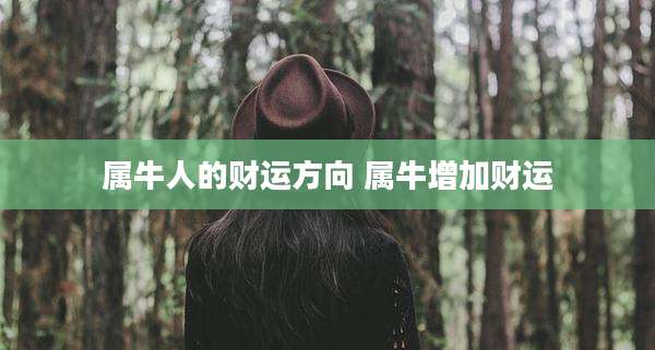 属牛人的财运方向 属牛增加财运