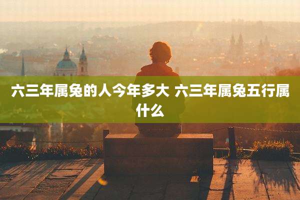 六三年属兔的人今年多大 六三年属兔五行属什么