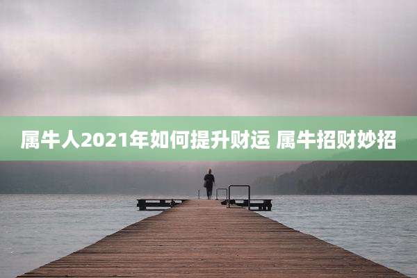 属牛人2021年如何提升财运 属牛招财妙招