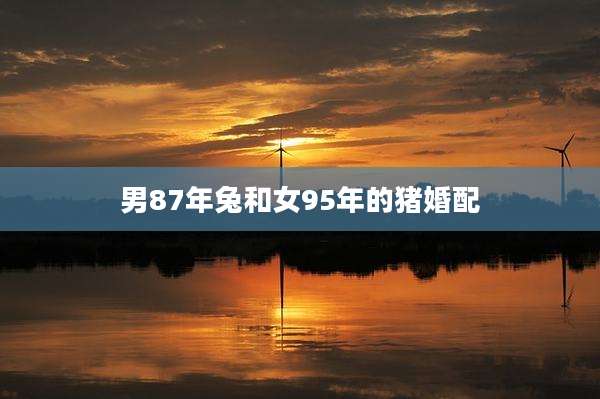 男87年兔和女95年的猪婚配