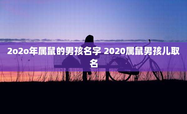 2o2o年属鼠的男孩名字 2020属鼠男孩儿取名