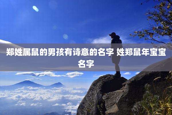 郑姓属鼠的男孩有诗意的名字 姓郑鼠年宝宝名字