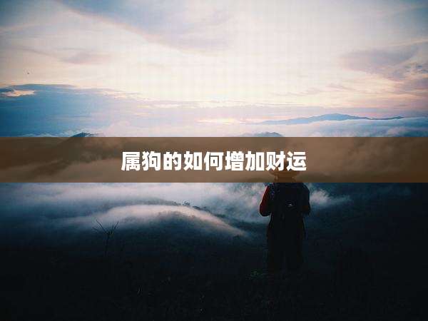 属狗的如何增加财运