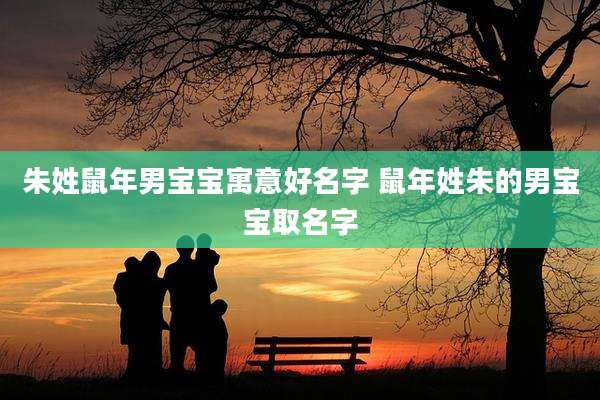 朱姓鼠年男宝宝寓意好名字 鼠年姓朱的男宝宝取名字