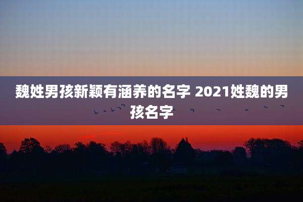 魏姓男孩新颖有涵养的名字 2021姓魏的男孩名字
