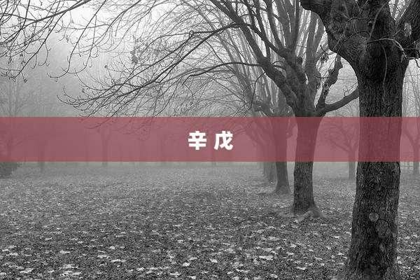 辛 戊