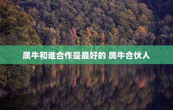 属牛和谁合作是最好的 属牛合伙人