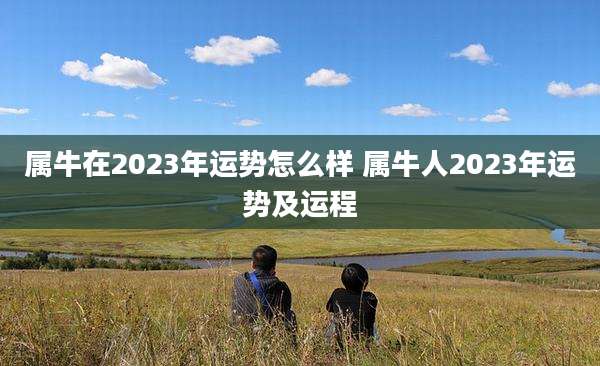 属牛在2023年运势怎么样 属牛人2023年运势及运程