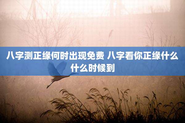 八字测正缘何时出现免费 八字看你正缘什么什么时候到