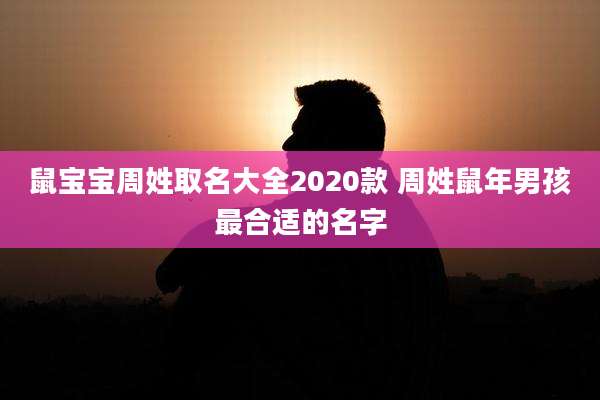 鼠宝宝周姓取名大全2020款 周姓鼠年男孩最合适的名字