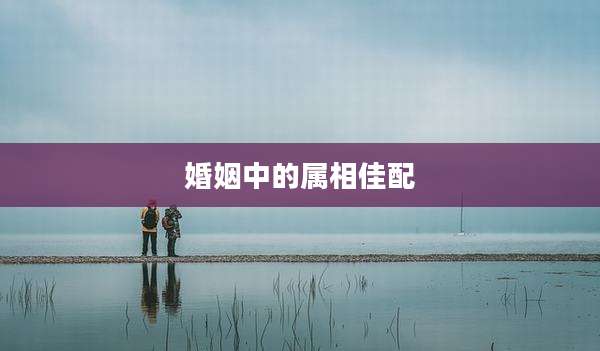 婚姻中的属相佳配