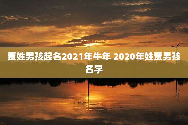 贾姓男孩起名2021年牛年 2020年姓贾男孩名字
