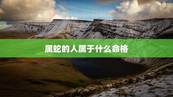 属蛇的人属于什么命格