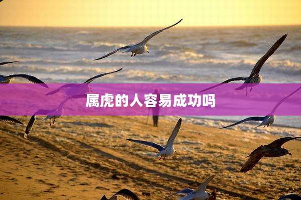 属虎的人容易成功吗