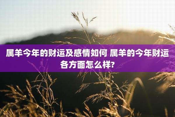 属羊今年的财运及感情如何 属羊的今年财运各方面怎么样?