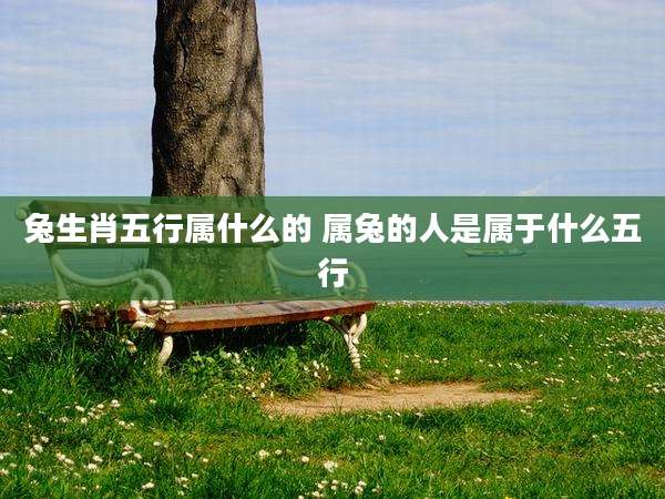 兔生肖五行属什么的 属兔的人是属于什么五行