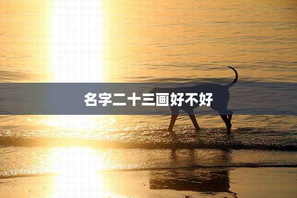 名字二十三画好不好