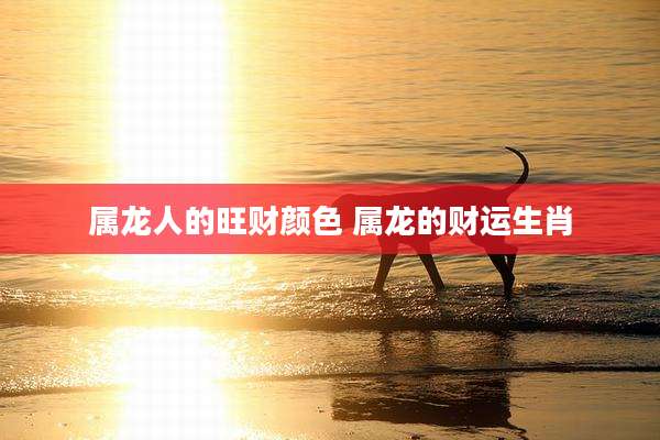 属龙人的旺财颜色 属龙的财运生肖