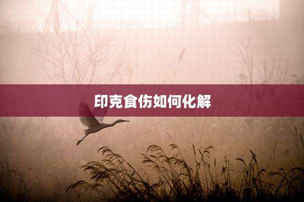 印克食伤如何化解