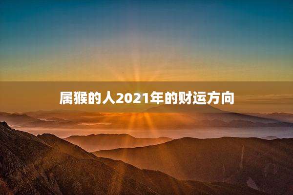 属猴的人2021年的财运方向