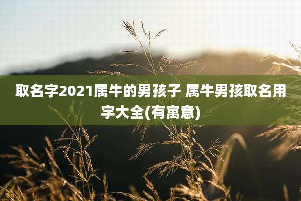 取名字2021属牛的男孩子 属牛男孩取名用字大全(有寓意)