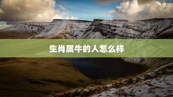 生肖属牛的人怎么样