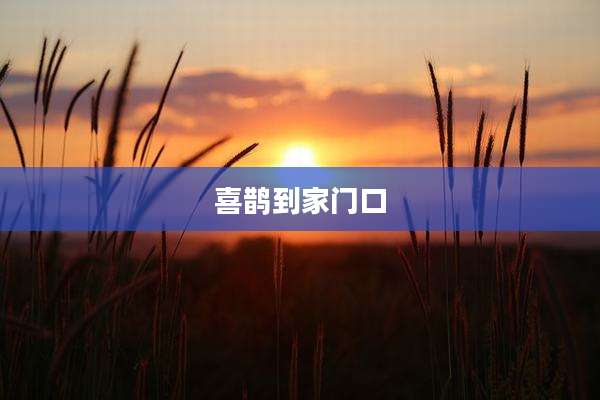 喜鹊到家门口