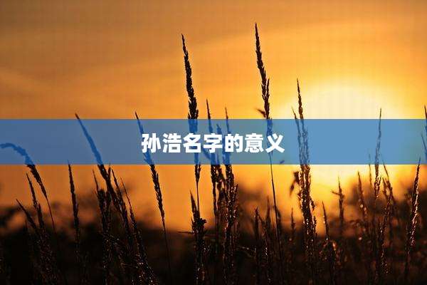 孙浩名字的意义