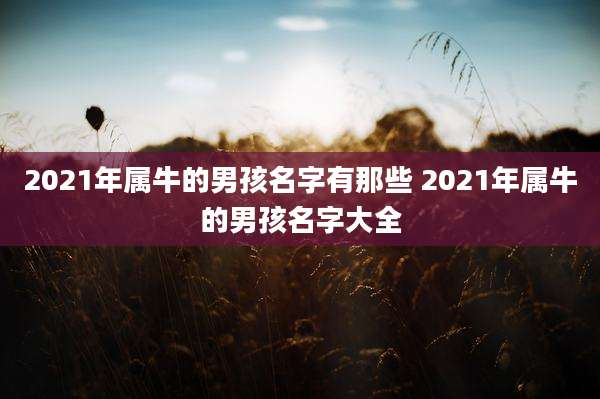 2021年属牛的男孩名字有那些 2021年属牛的男孩名字大全