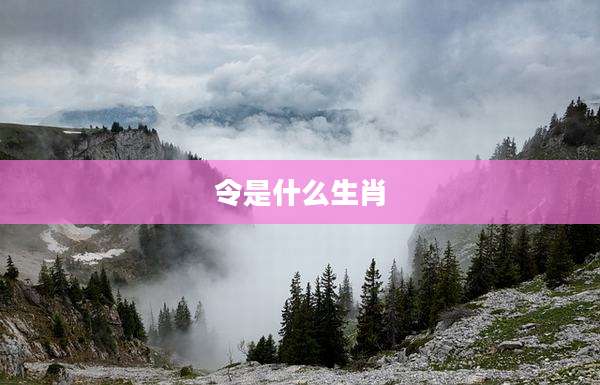 令是什么生肖