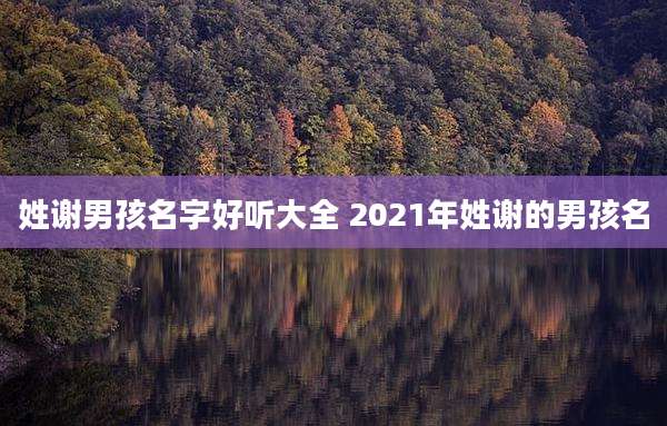 姓谢男孩名字好听大全 2021年姓谢的男孩名