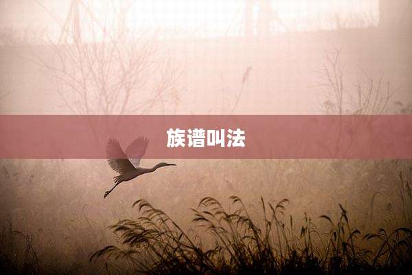 族谱叫法