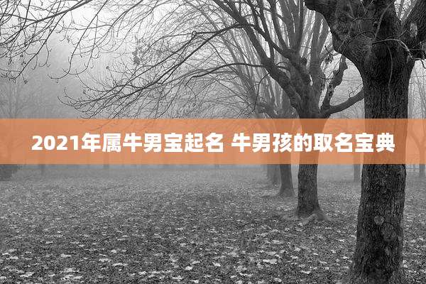 2021年属牛男宝起名 牛男孩的取名宝典