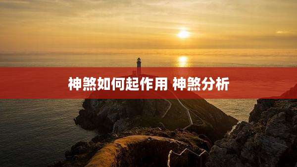 神煞如何起作用 神煞分析