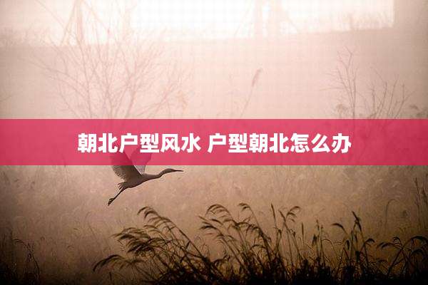 朝北户型风水 户型朝北怎么办