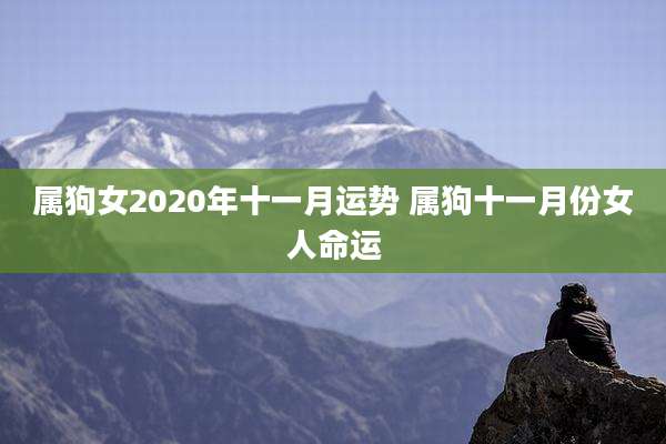 属狗女2020年十一月运势 属狗十一月份女人命运