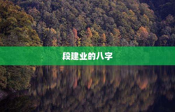 段建业的八字