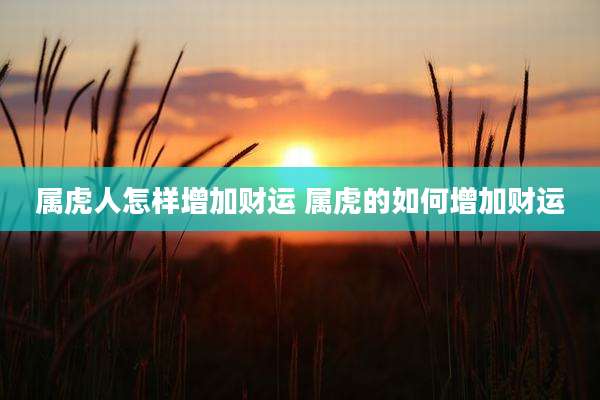 属虎人怎样增加财运 属虎的如何增加财运