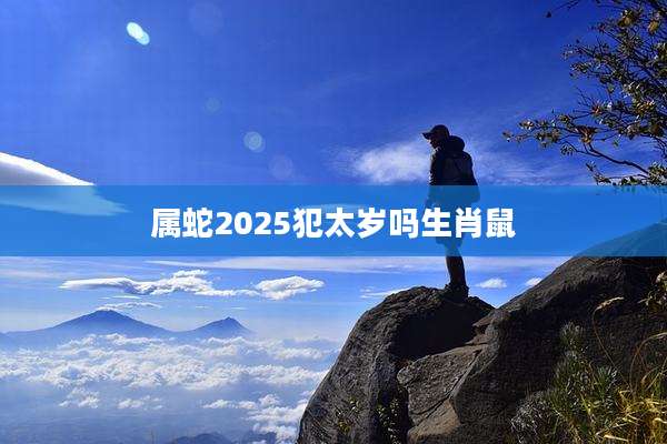 属蛇2025犯太岁吗生肖鼠