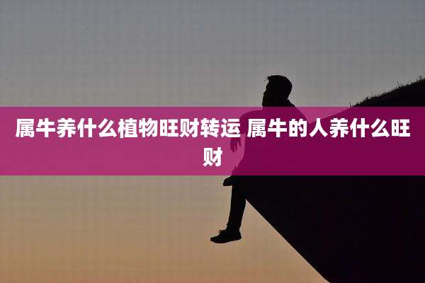 属牛养什么植物旺财转运 属牛的人养什么旺财