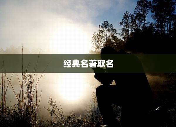 经典名著取名