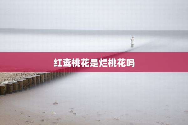 红鸾桃花是烂桃花吗
